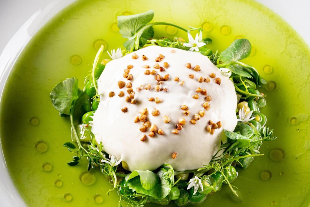 فندق Sapphire House Antwerp, Autograph Collection المظهر الخارجي الصورة A salad with watercress